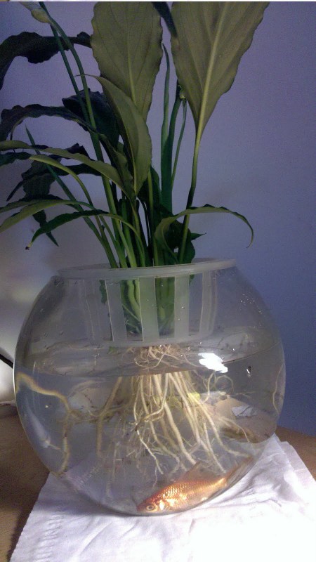 2011-02-28_21-20-50_456
